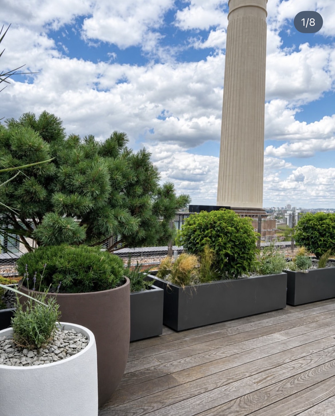 Completed Battersea rooftop garden with specimen pine, planted containers and Power Station chimney